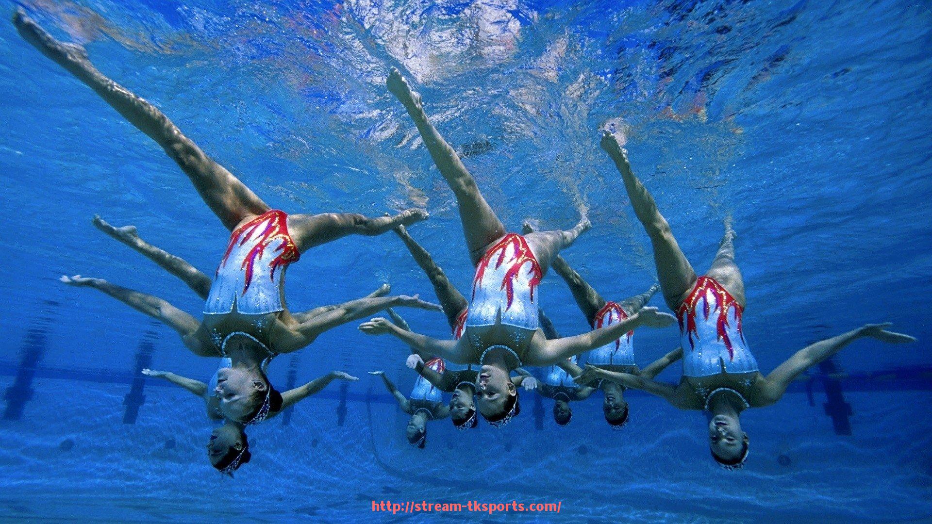 TK体育直播-小县城购买健身器材的途径与实用建议